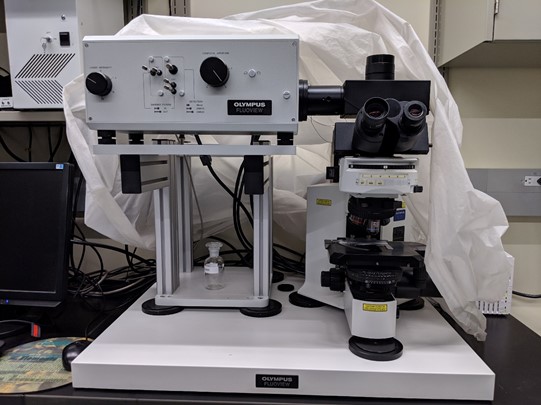 Olympus FV300 Confocal Microscope | Lakehead University